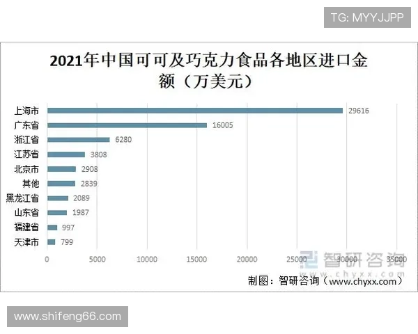 深入探讨上海排球队实力表现与数据分析的全面解读与未来展望 深入探讨上海排球队实力表现与数据分析的全面解读与未来展望