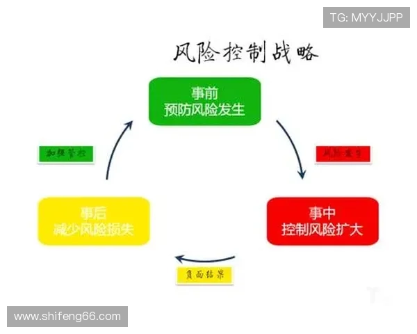 深圳乒乓球队战术解析：构建高效控制体系的成功之道
