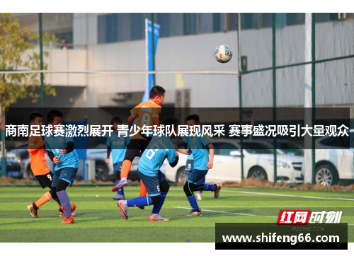 商南足球赛激烈展开 青少年球队展现风采 赛事盛况吸引大量观众