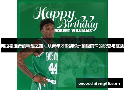 弗拉霍维奇的崛起之路：从青年才俊到欧洲顶级前锋的蜕变与挑战
